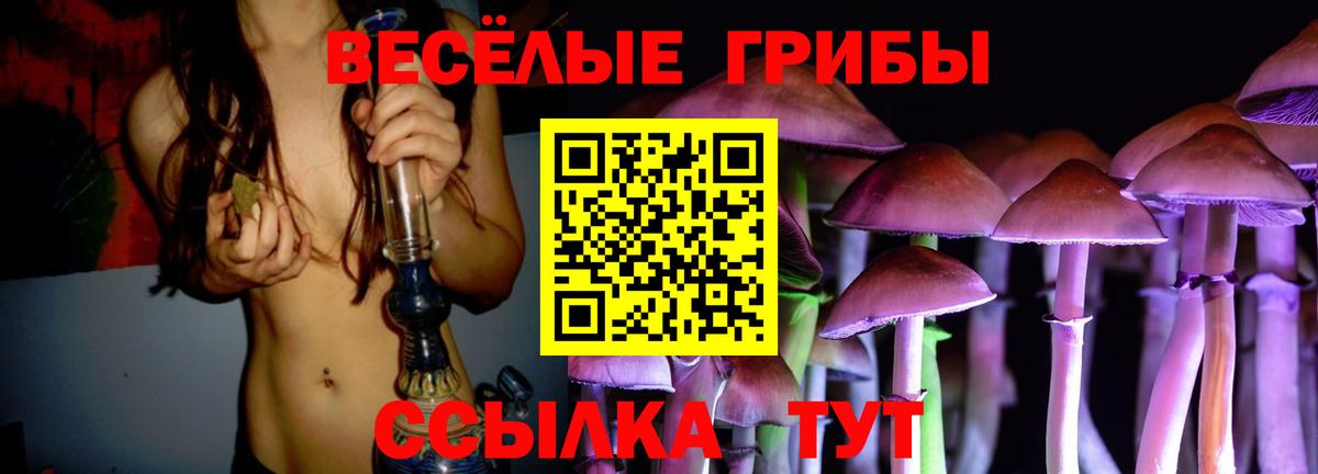 Псилоцибиновые грибы Magic Shrooms Вязьма